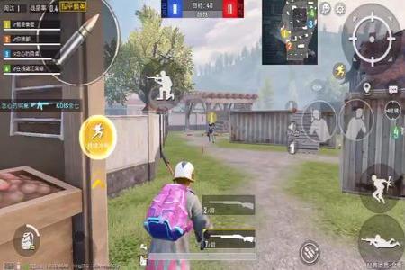 和平精英凋零辅助怎么开(和平精英辅助怎么弄) 和平精英凋零辅助怎么开(和平精英辅助怎么弄)