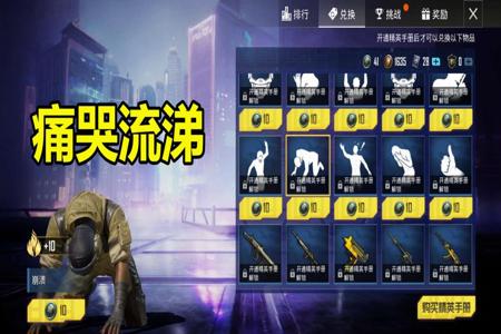 和平精英辅助代理平台是什么(和平精英辅助代码是什么) 和平精英辅助代理平台是什么(和平精英辅助代码是什么)