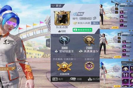 和平精英巡查外挂怎么搞(和平精英巡查外挂怎么巡查) 和平精英巡查外挂怎么搞(和平精英巡查外挂怎么巡查)